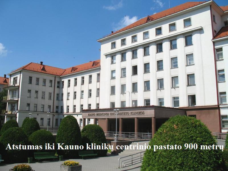 Comfy Patogus Namai Apartment Kaunas Exterior foto